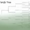 Family Tree Diagram Template Beautiful 10 Best Of Free Inside Blank Tree Diagram Template