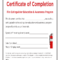 Fire Extinguisher Certificate - Fill Online, Printable pertaining to Fire Extinguisher Certificate Template