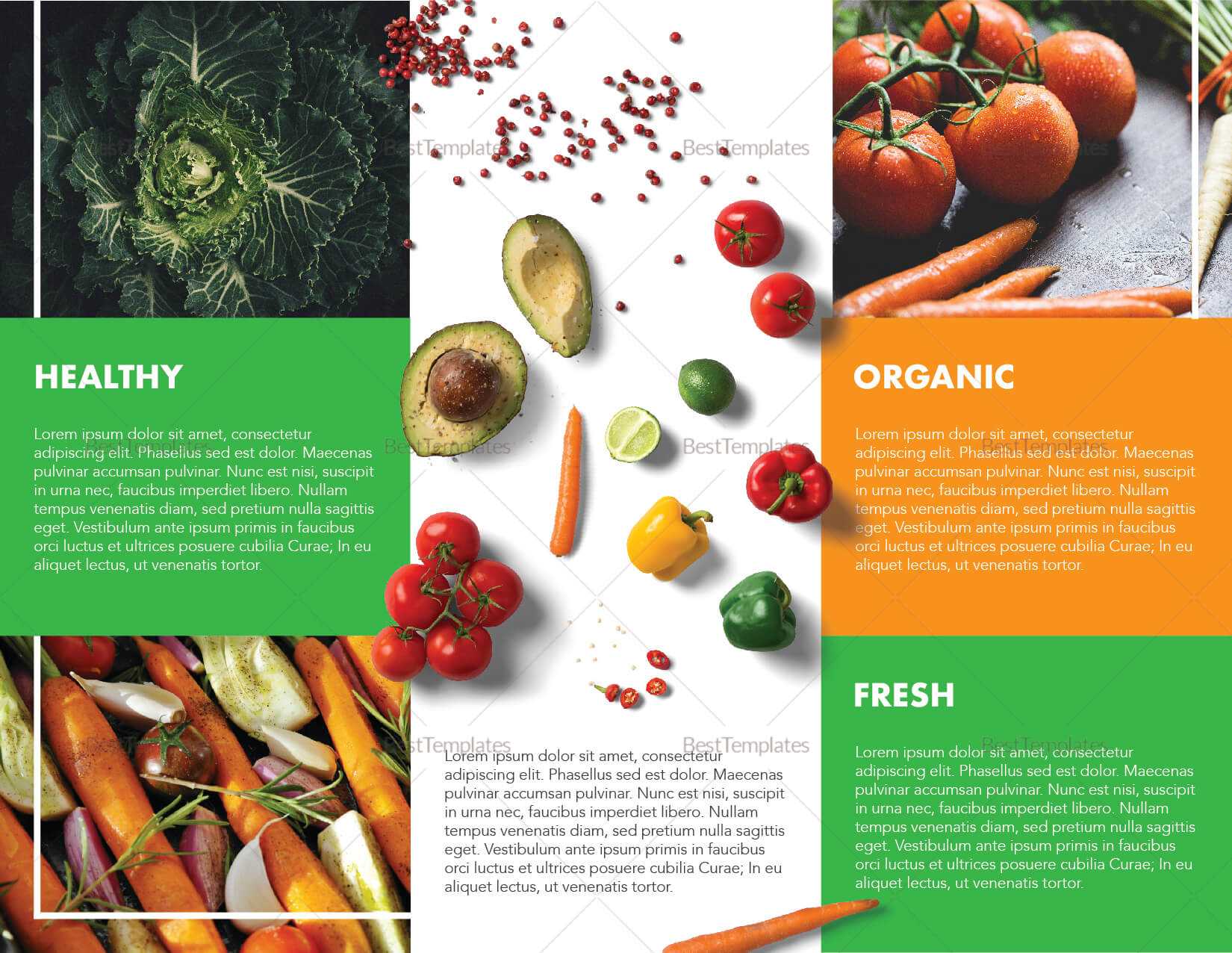 Food Brochure Template Within Nutrition Brochure Template