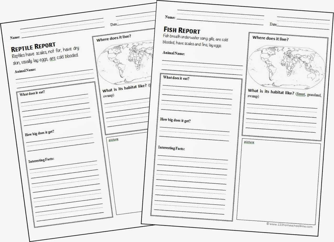 Free Animal Report Form Printable | 123 Homeschool 4 Me With Regard To Animal Report Template