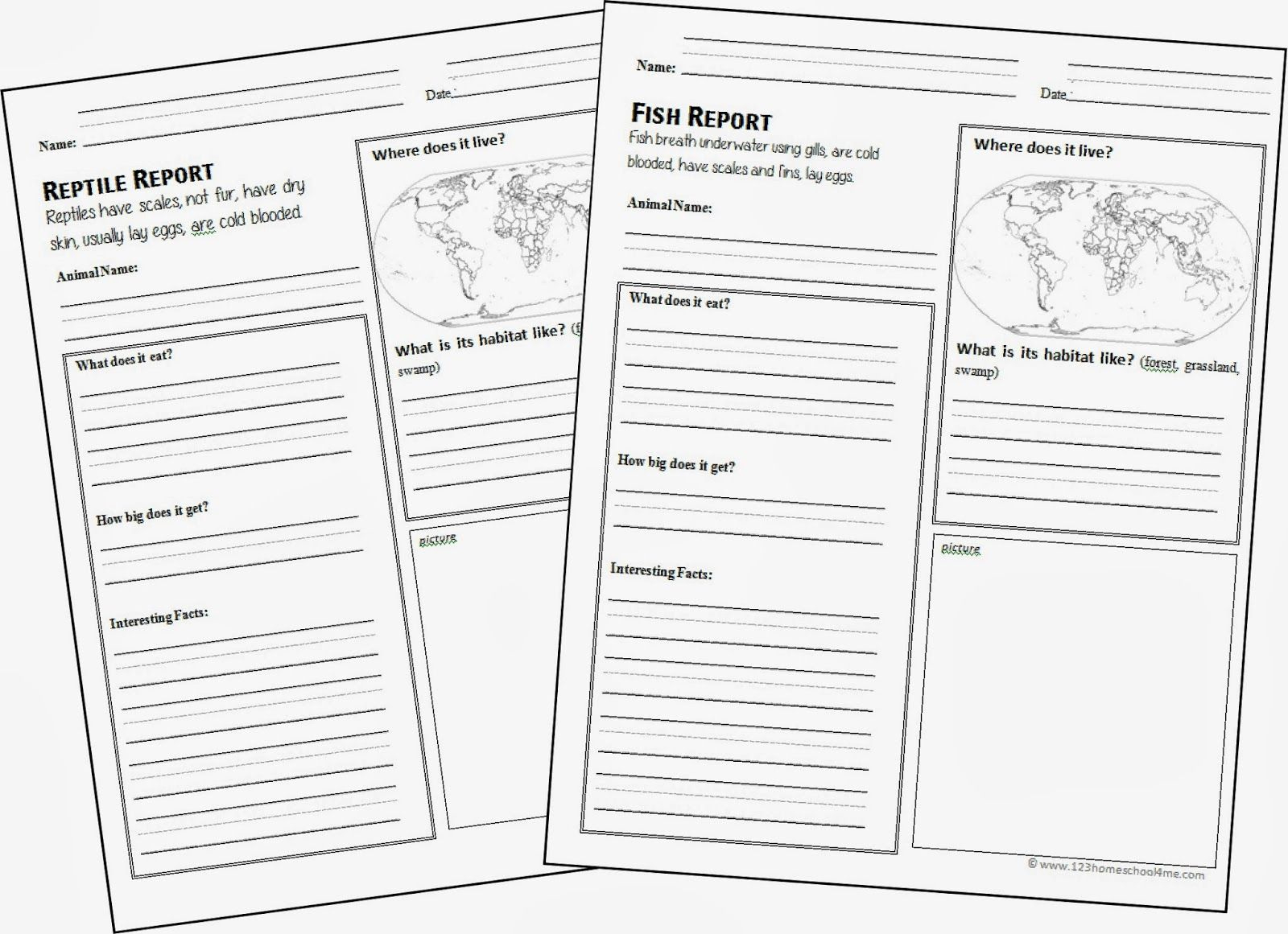 Free Animal Report Form Printable | Report Template, Grade 1 In Animal Report Template