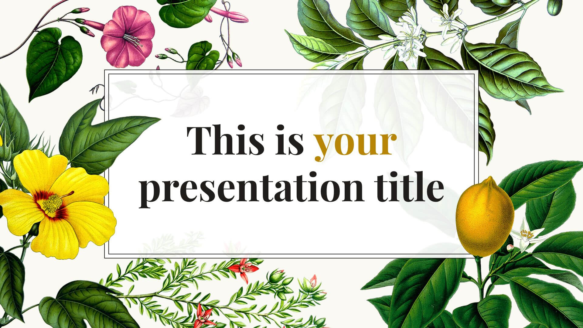 Free Original Powerpoint Template Or Google Slides Theme For Pretty Powerpoint Templates