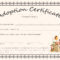 Free Printable Blank Baby Birth Certificates Templates Pertaining To Baby Doll Birth Certificate Template