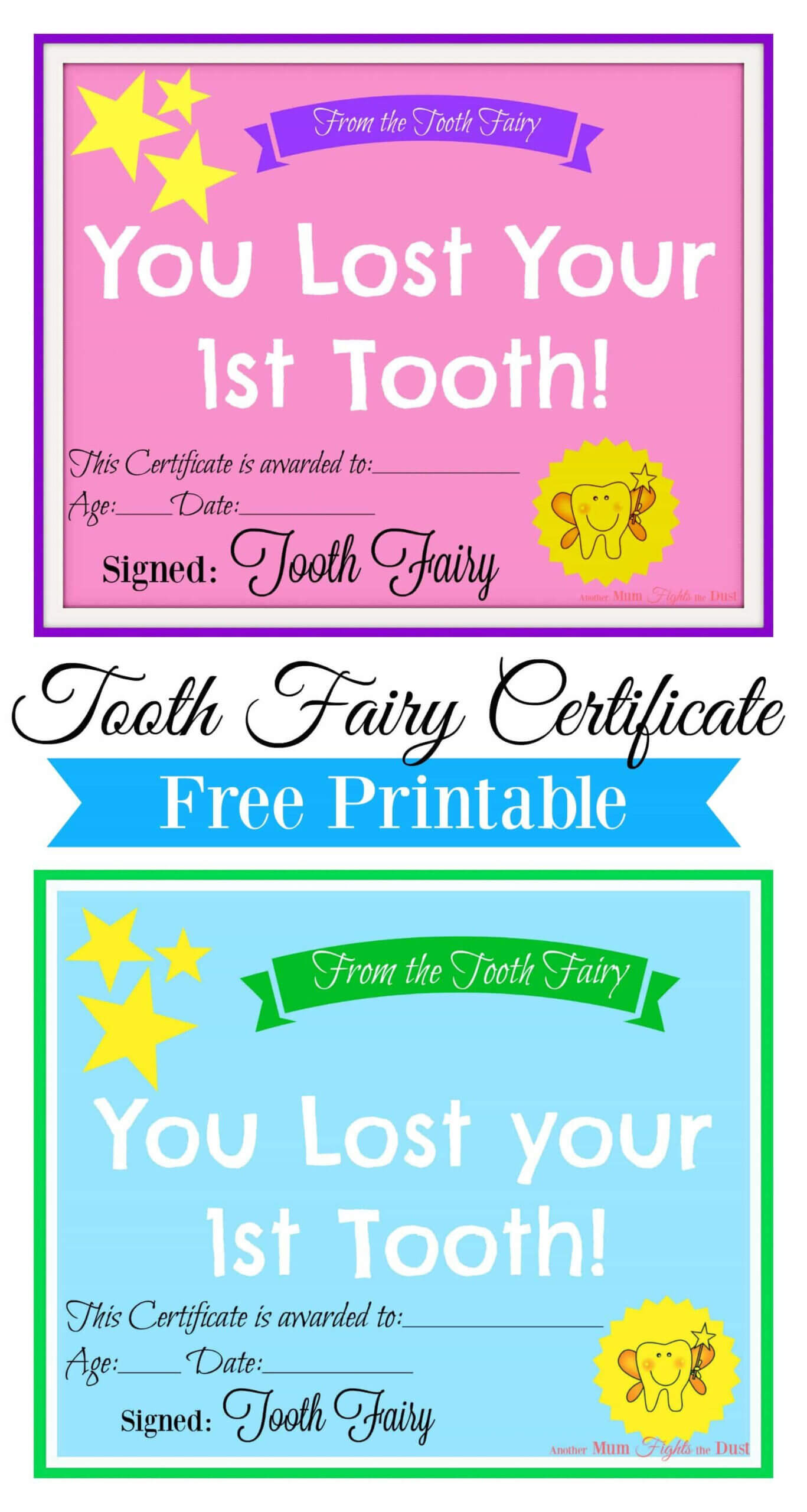 Free Printable Tooth Fairy Certificate | Tooth Fairy Inside Free Tooth Fairy Certificate Template
