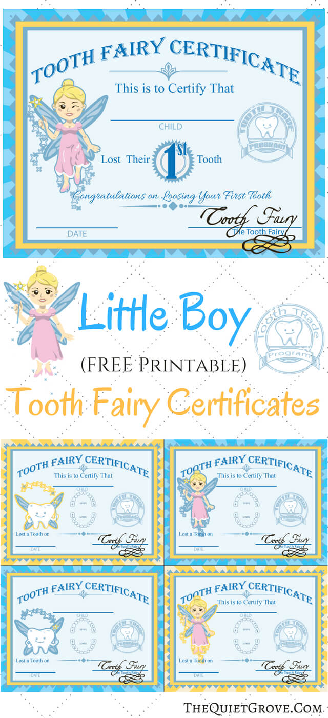 Free Printable Tooth Fairy Certificates | Tooth Fairy With Tooth Fairy Certificate Template Free