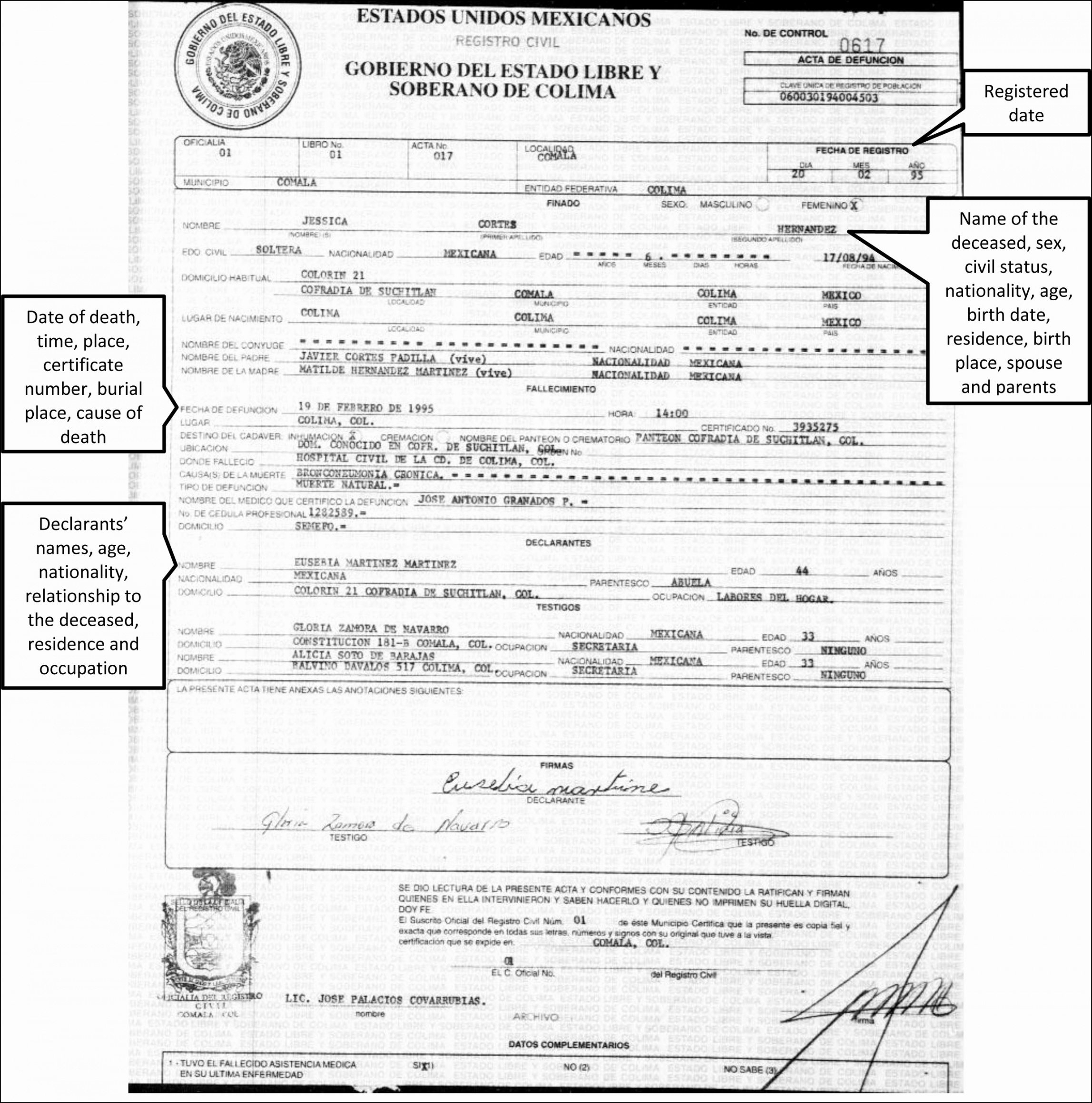 Free Translation Of Divorce Certificate Template Beautiful In Mexican Birth Certificate Translation Template