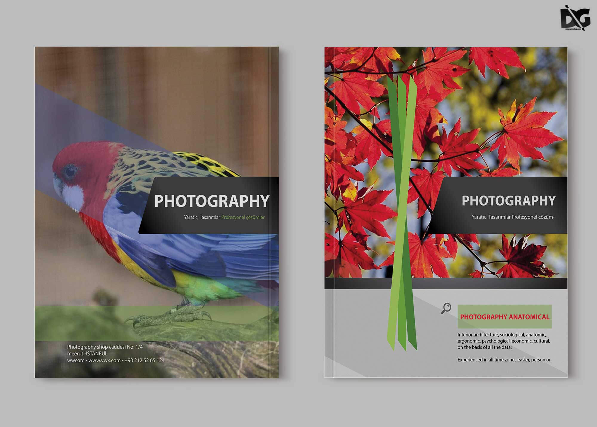 Free Zoo Photography Psd Brochure Template | Free Psd Mockup Inside Zoo Brochure Template