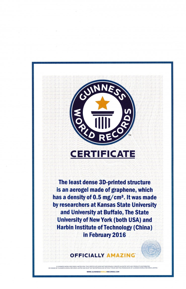 Guinness World Record Certificate Template - Zimer.bwong.co Pertaining To Guinness World Record Certificate Template