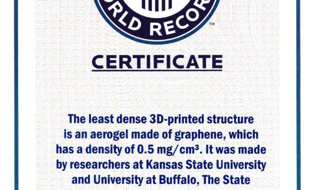 Guinness World Record Certificate Template - Zimer.bwong.co throughout Guinness World Record Certificate Template