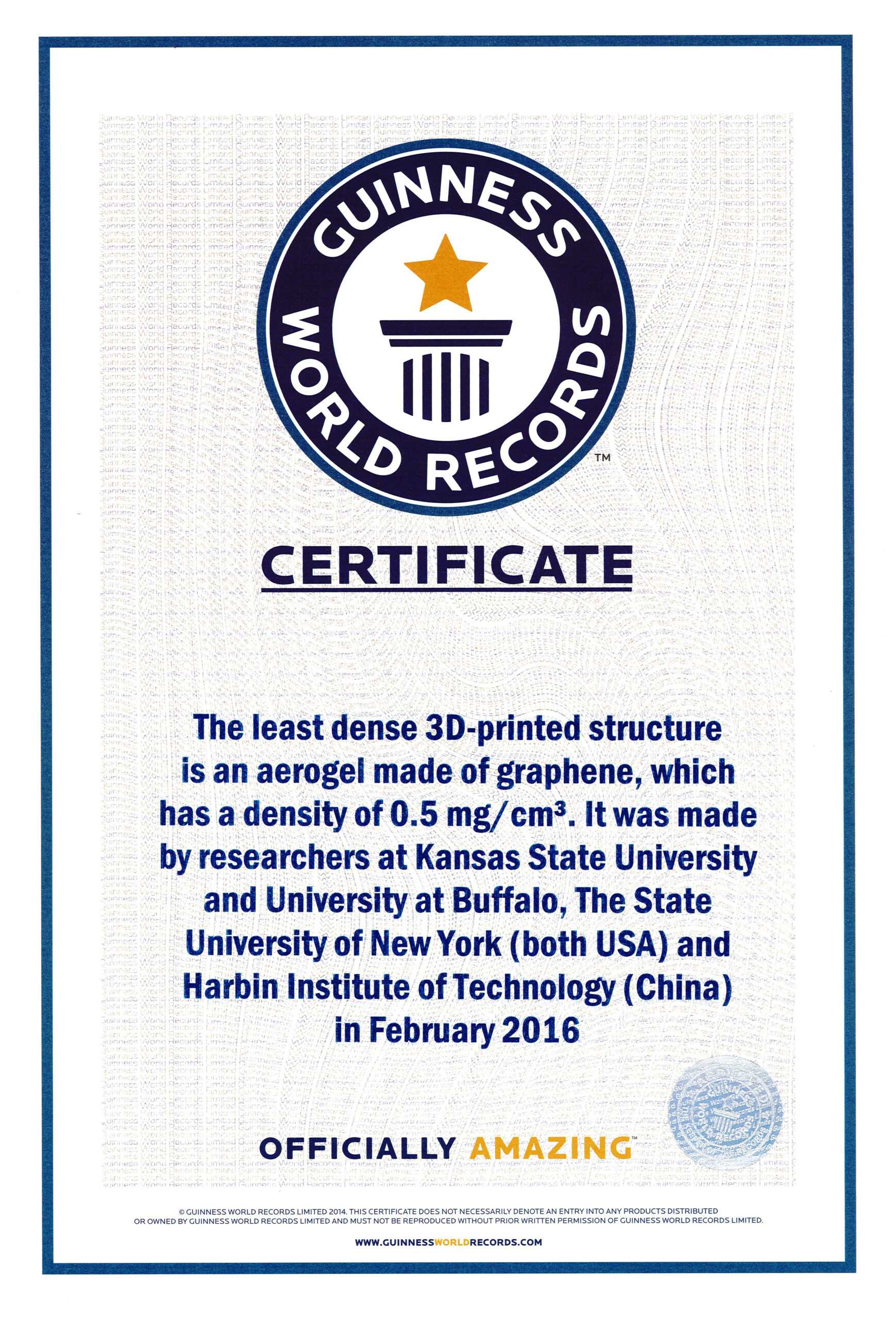 Guinness World Record Certificate Template – Zimer.bwong.co Throughout Guinness World Record Certificate Template