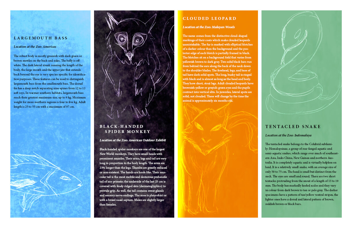 Indesign Projects | Timothy Rose In Zoo Brochure Template