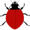 Ladybird Template. Ladybird Powerpoint Template Backgrounds Throughout Blank Ladybug Template