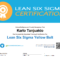 Lean Six Sigma Training – Free! | Lean Six Sigma, Green Belt Inside Green Belt Certificate Template