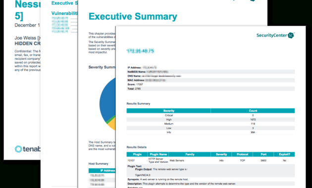 Nessus Scan Report (Top 5) - Sc Report Template | Tenable® pertaining to Nessus Report Templates