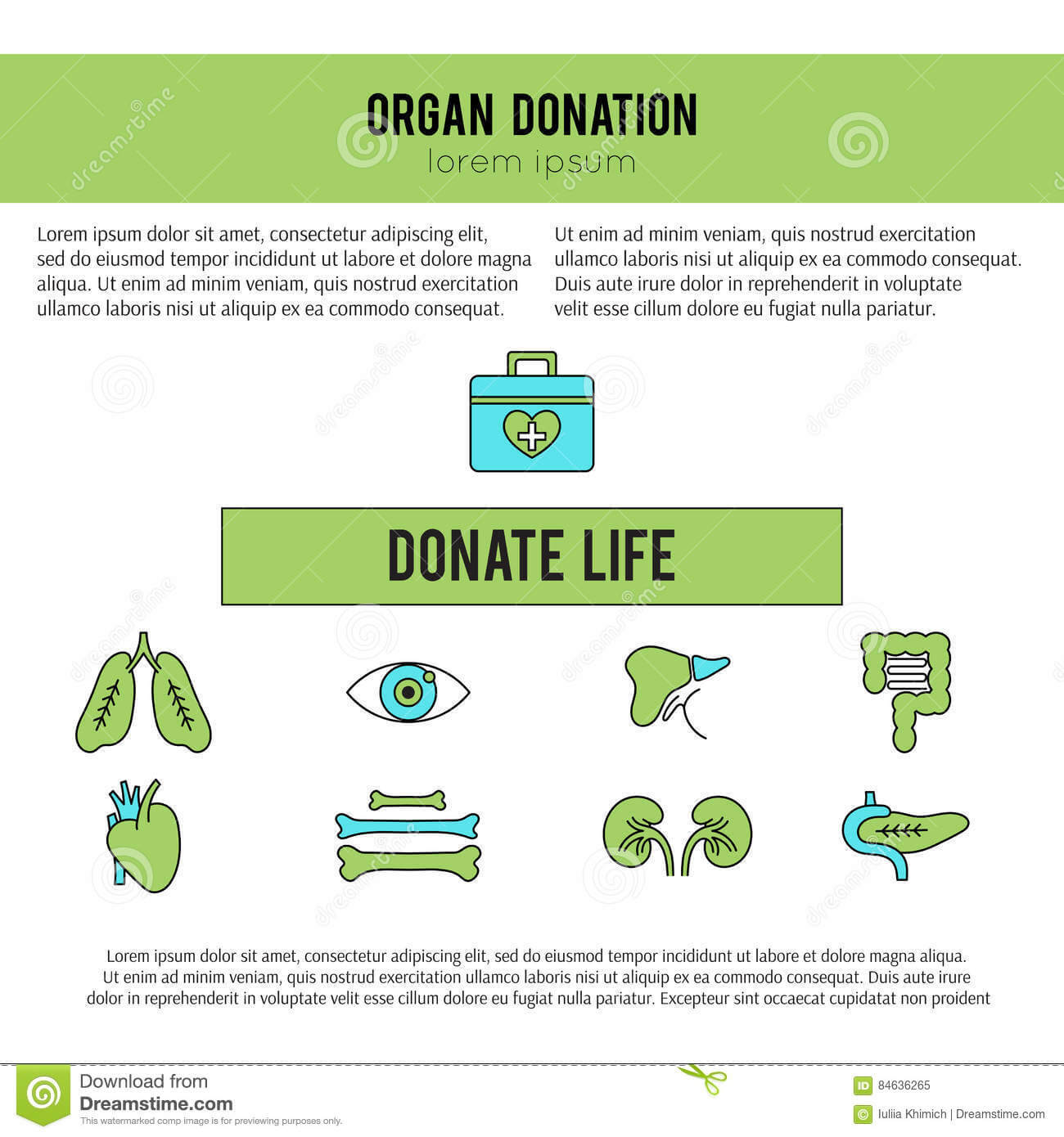 Organ Donation Template Stock Vector. Illustration Of Inside Organ Donor Card Template