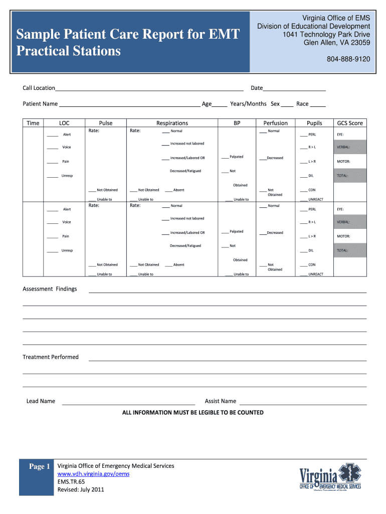 Patient Care Report – Fill Online, Printable, Fillable With Patient Care Report Template