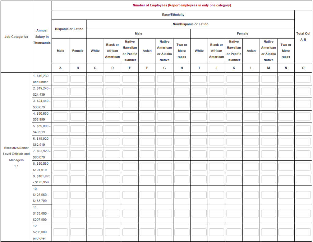 Pay Data Collection | Regulatory Transparency Project Within Eeo 1 Report Template