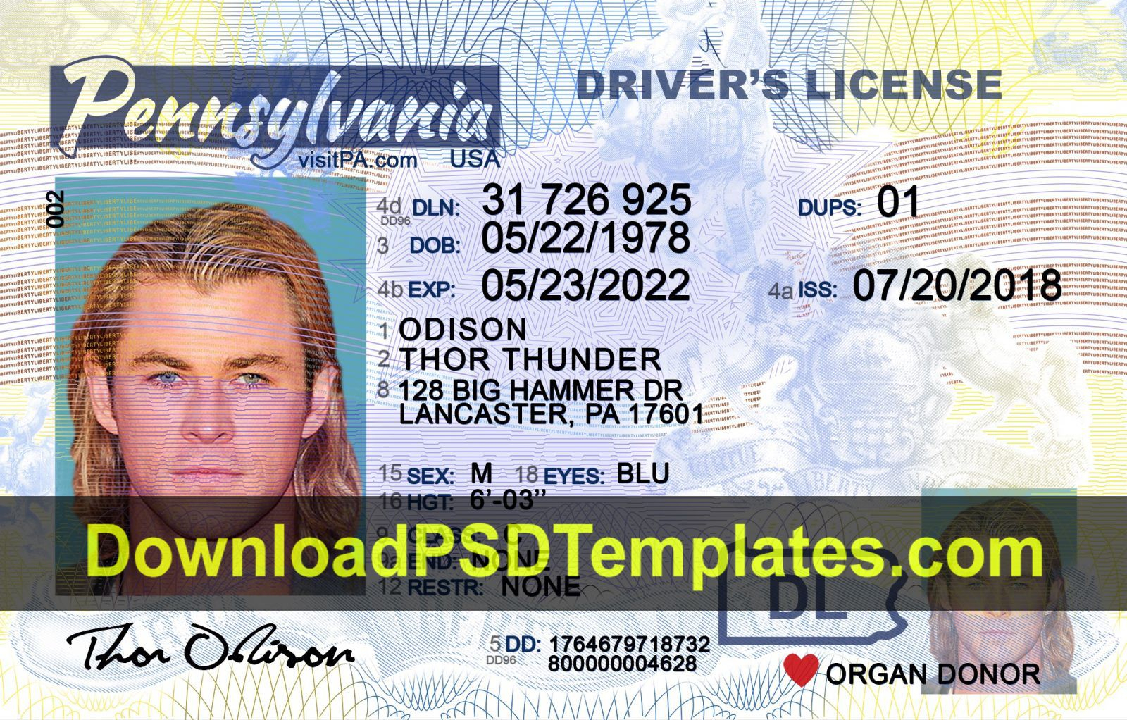 Pin On Docs Pertaining To Blank Drivers License Template