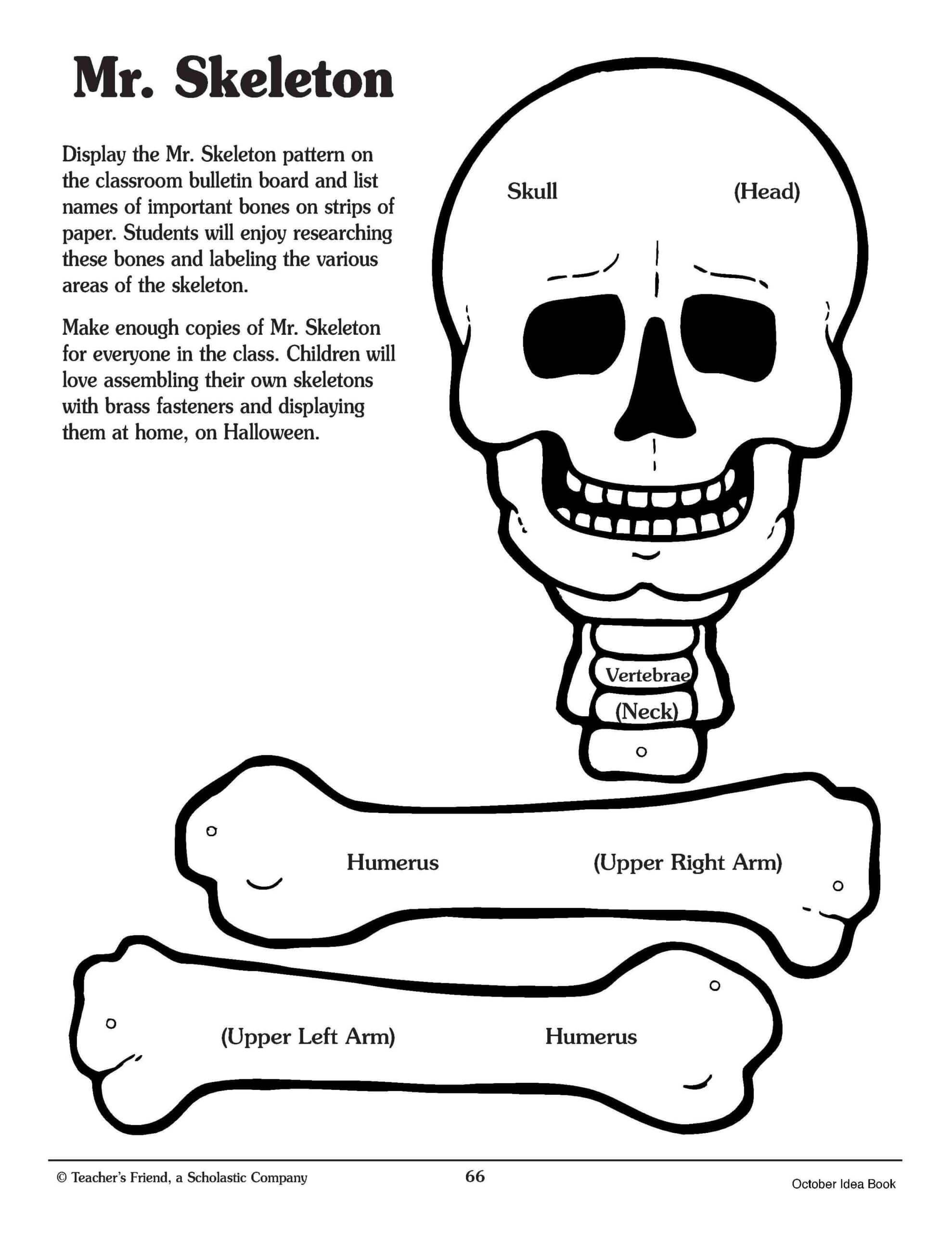 Pin On For The Classroom Inside Skeleton Book Report Template