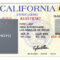 Pinamanda Lynn Spertell On Aaa | Drivers License For Blank Social Security Card Template Download