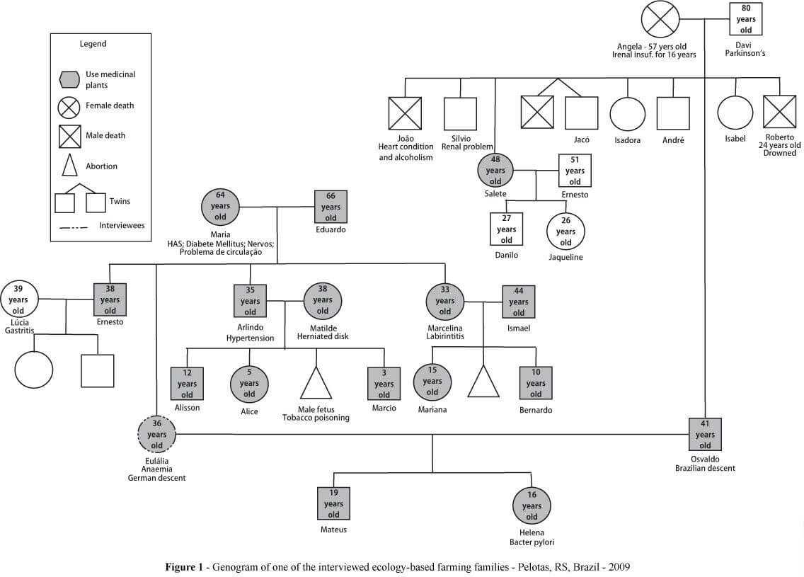 Pindee On Design | Genogram Template, Family Genogram With Family Genogram Template Word