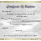Pinselena Bing-Perry On Certificates | Certificate intended for Baby Christening Certificate Template