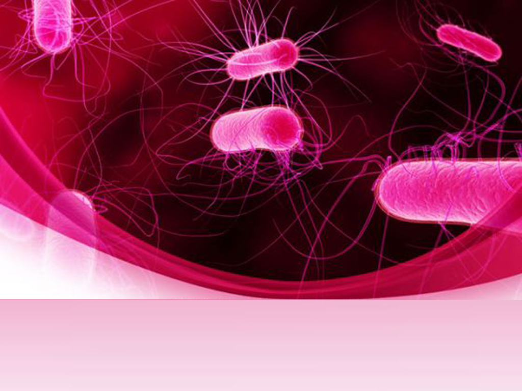 Powerpoint Bacteria Templates For Powerpoint Presentations With Virus Powerpoint Template Free Download
