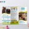 Pre School Brochure Template Throughout Play School Brochure Templates