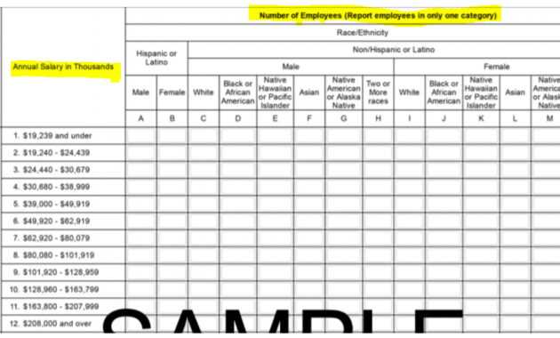 Prepare Now For Next Eeo-1 Component throughout Eeo 1 Report Template