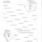Printable Book Report Forms | Miss Murphy's 1St And 2Nd Inside 2Nd Grade Book Report Template