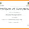 Printable Doc Pdf Editable Training Certificate Template Throughout Template For Training Certificate