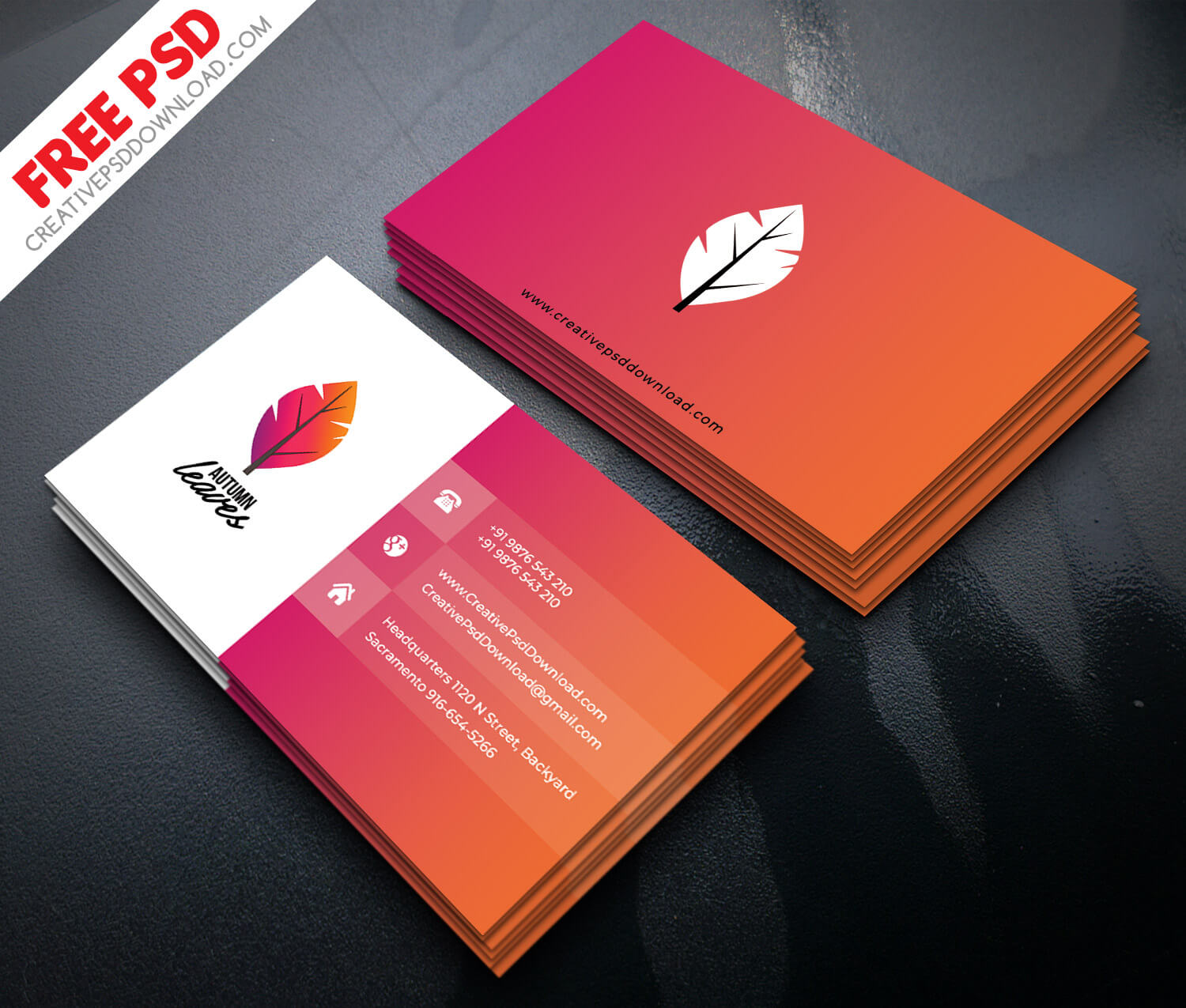 Professional Business Card Psd Free Download Inside Blank Business Card Template Psd