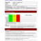 Project Daily Status Report Template Excel And Create Weekly in Test Summary Report Excel Template