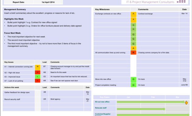 Project Summary On A Page Status Template: Single Page Report for One Page Status Report Template