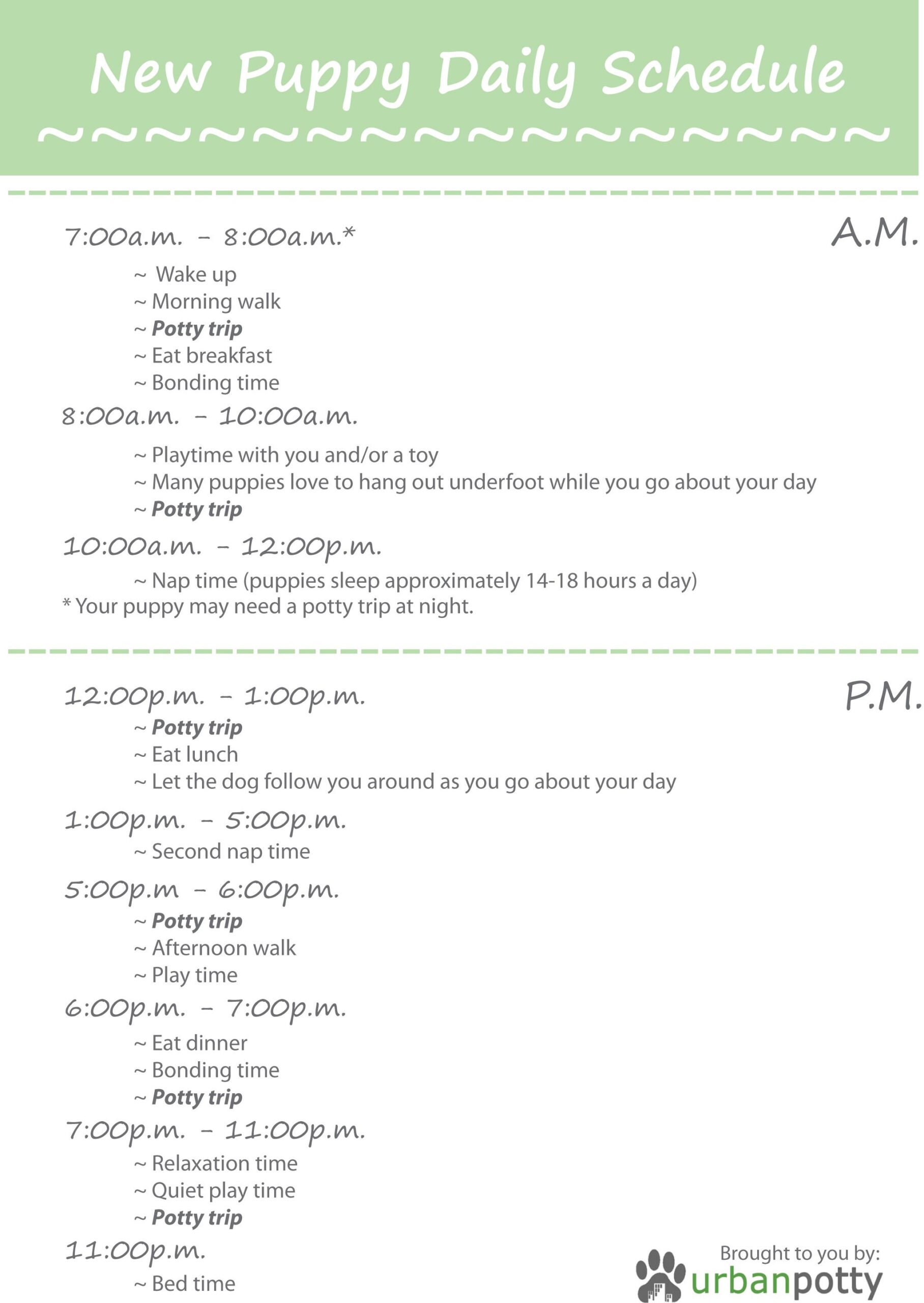 Puppy Schedule Template – Ironi.celikdemirsan Within Dog Grooming Record Card Template