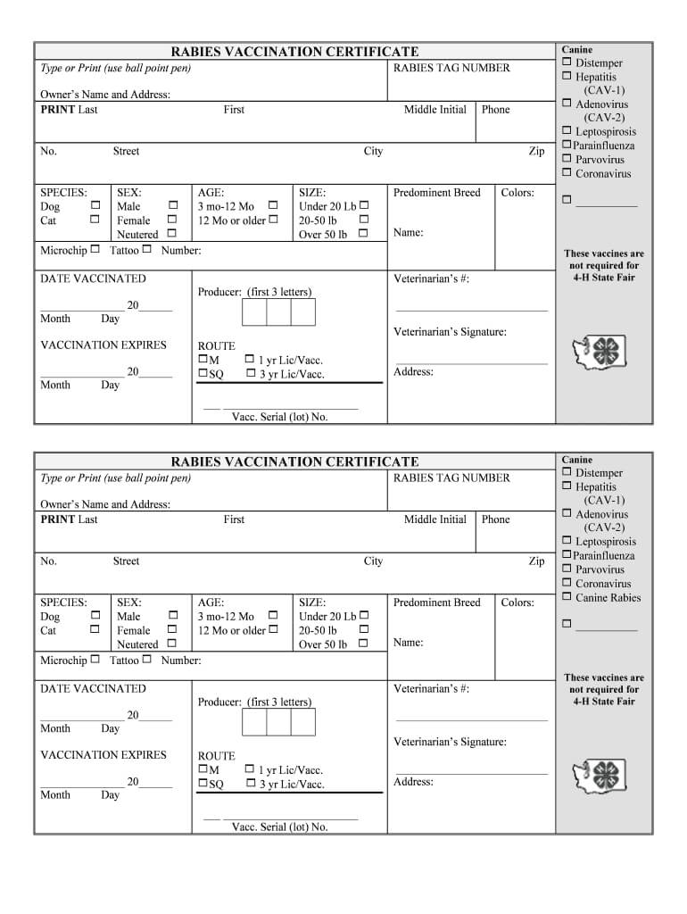 Rabies Certificate Template – Fill Online, Printable Inside Rabies Vaccine Certificate Template