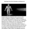 Radiology Powerpoint Templates And Background |Authorstream In Radiology Powerpoint Template
