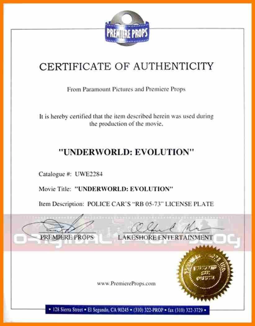 Sales Agent Authorization Certificate Word Template Intended For Certificate Of Authorization Template