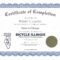 Sample Certificate Of Completion | Certificate Of Completion For Certificate Of Completion Template Word