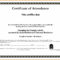 Sample Computer Course Completion Certificate Fres Beautiful Inside Officer Promotion Certificate Template