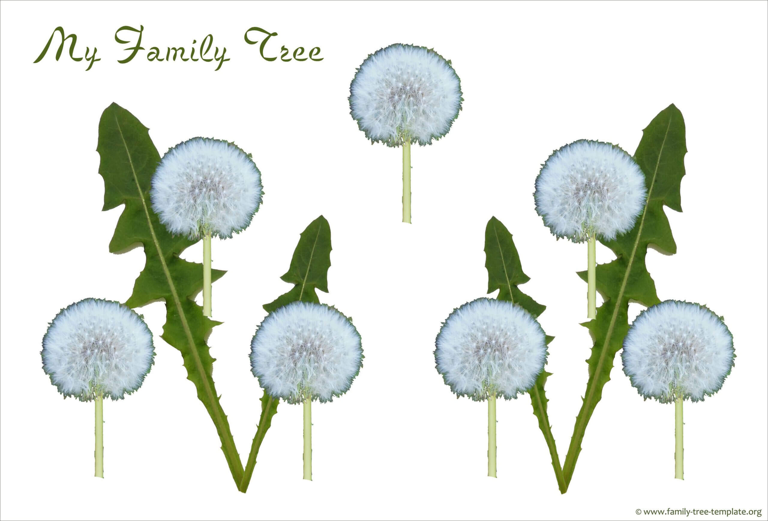 Simple Family Tree With 3 Generations For The Small Child In Blank Family Tree Template 3 Generations