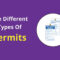 The Different Types Of Permits | The Permit Types For Electrical Isolation Certificate Template