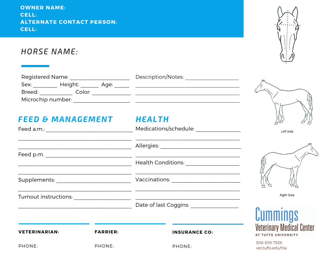 Travel Confidently – News Center At Cummings School Of Intended For Horse Stall Card Template
