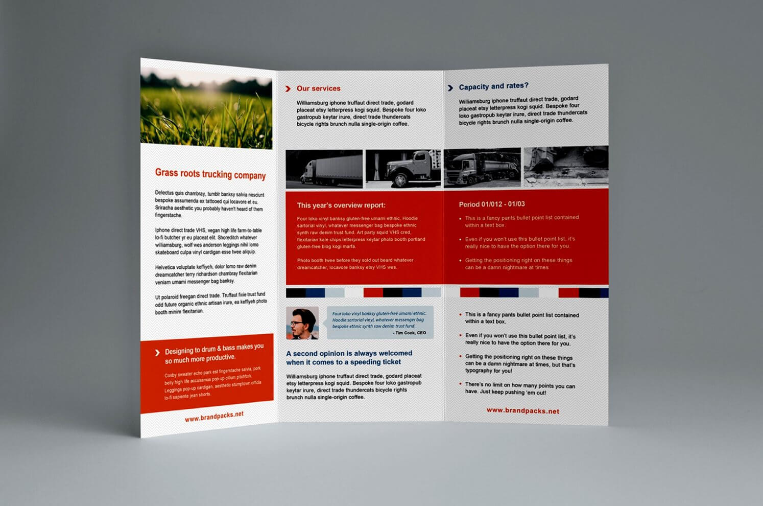 Tri Fold Brochure Template Open Office Including Indesign Bi For Tri Fold Brochure Publisher Template