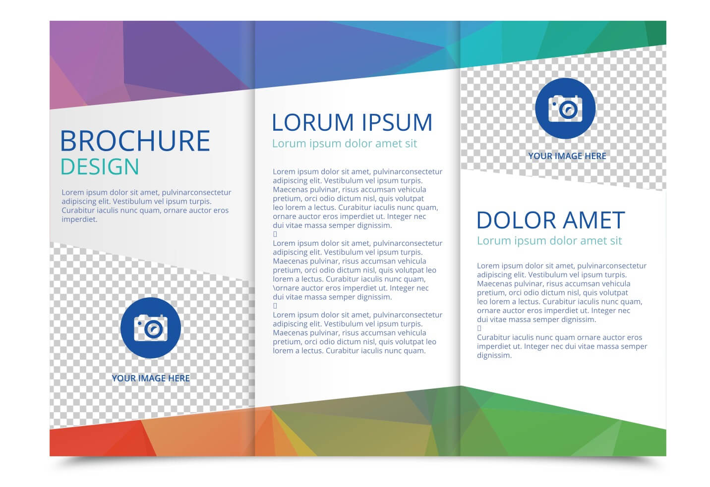 Tri Fold Brochure Vector Template – Download Free Vectors Pertaining To 3 Fold Brochure Template Free