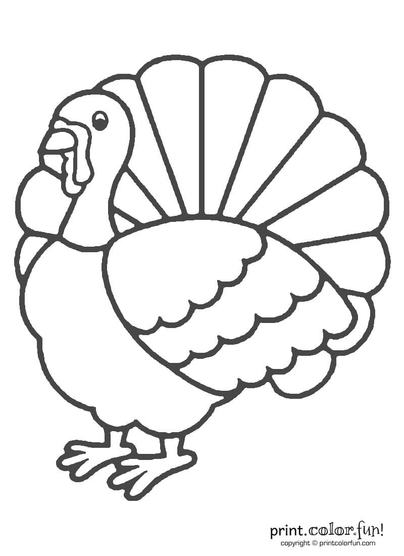 Turkey Clipart Template In Blank Turkey Template