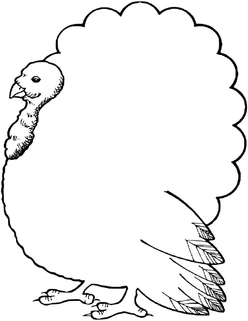 Turkey Outline Clipart With Regard To Blank Turkey Template