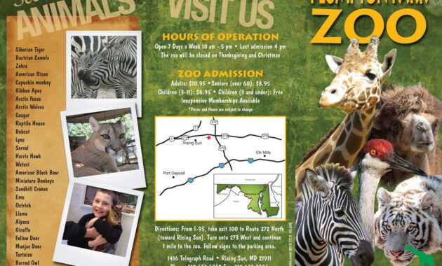 Zoo Brochure - Google Search | Zoo Tickets, Brochure for Zoo Brochure Template