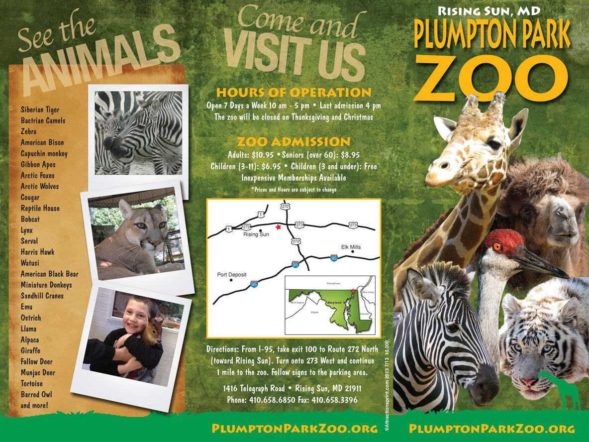 Zoo Brochure – Google Search | Zoo Tickets, Brochure For Zoo Brochure Template